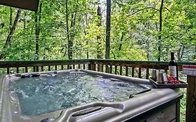 Beary Peaceful Smokies Retreat: Hot-Tub & Pools